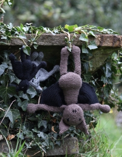 Clarence the Bat