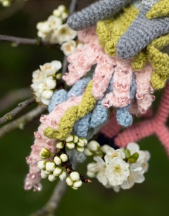 Beaded Princess Parrot