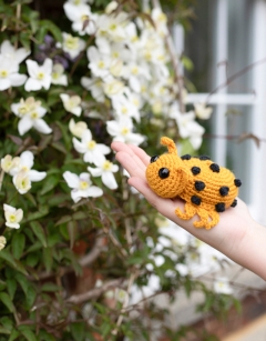 Deirdre the Bean Beetle