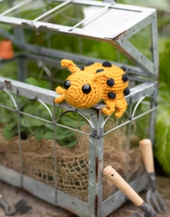 Deirdre the Bean Beetle