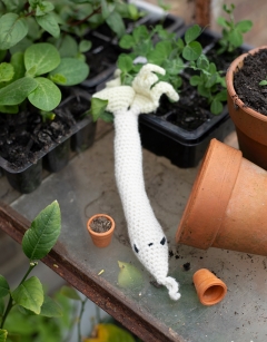 Bean Shoot Kit