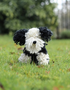 Josephine the Bearded Collie