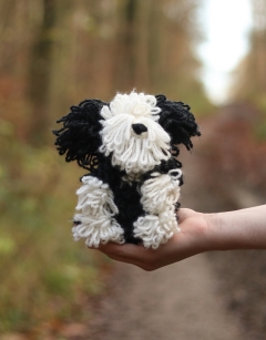 Josephine the Bearded Collie