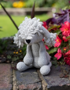 Rachel the Bedlington Terrier