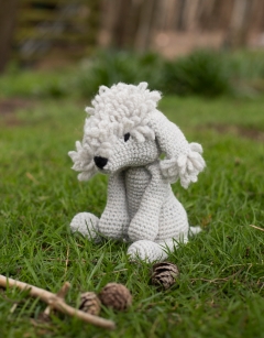 Rachel the Bedlington Terrier