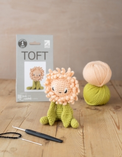Mini Chrysanthemum Kit