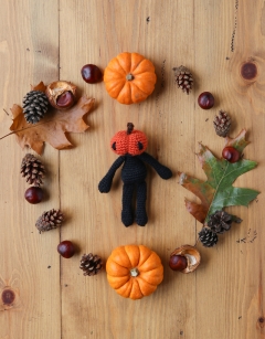 Mini Jack o Lantern Kit