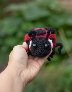Ava the Ladybird Kit