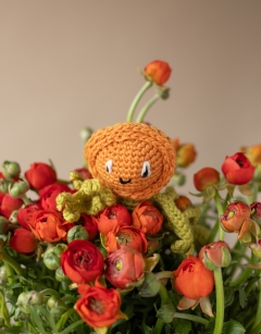 Mini Ranunculus Kit