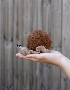 Otis the Snail Kit