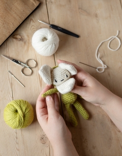 Mini Snowdrop Kit