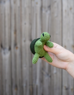 Mini Tortoises Kit