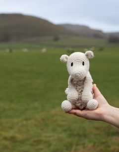 Learn to Crochet Box: Simon the Sheep