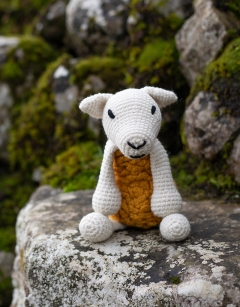 Eustice the Beltex Sheep