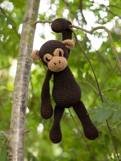 Benedict the Chimpanzee