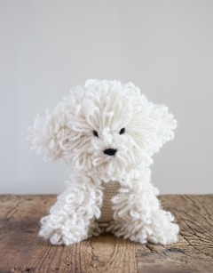 Myra the Bichon Frise