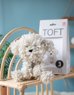 Myra the Bichon Frise
