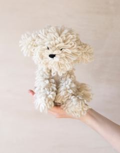 Myra the Bichon Frise