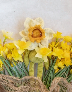 Bicolour Daffodil Kit