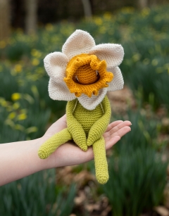 Bicolour Daffodil Kit