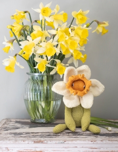 Bicolour Daffodil Kit