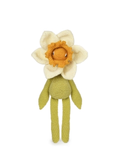 Bicolour Daffodil Kit