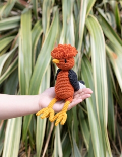 Mateo the Cock of the Rock