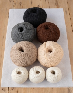 British Bird Bundle
