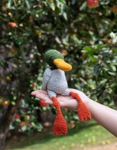 Duo of Dabbling Ducks