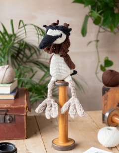 Jean the Great Crested Grebe