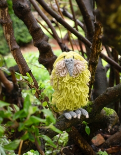 Koa the Kakapo