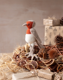 Robin the Robin