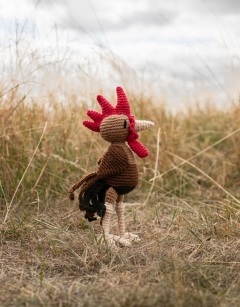 Kit the Rooster