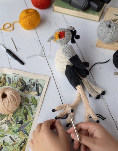 Lee the Secretary Bird