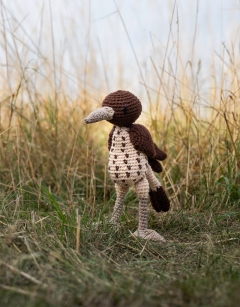 Adele the Song Thrush