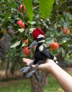 Scott the Woodpecker