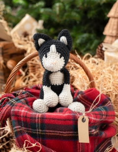 Large Paddy the Black and White Cat