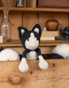 Large Paddy the Black and White Cat