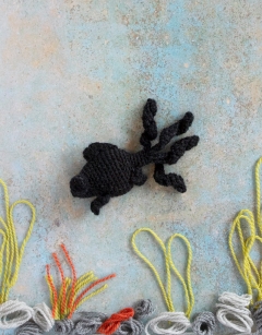 Jet the Black Moor Fish