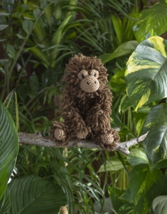 Blake the Orangutan