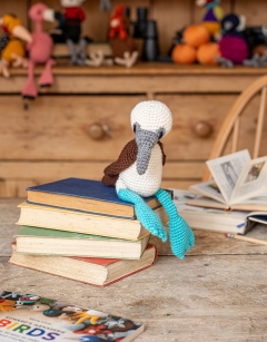 Vince the Blue Footed Booby