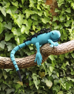 Euripides the Blue Iguana