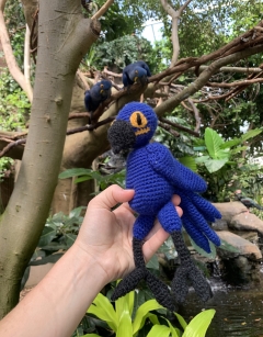 Themba the Hyacinth Macaw