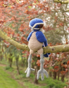 Fenton the Whiskered Treeswift