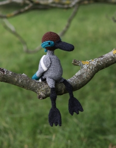 Arthur the Blue Winged Teal