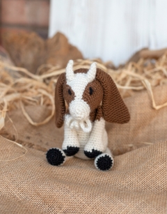 Adam the Boer Goat