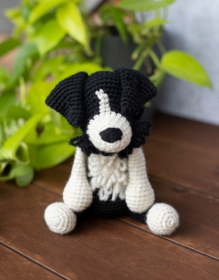 Daisy the Sheepdog