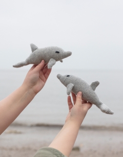 Jessica and Tate the Bottlenose Dolphins