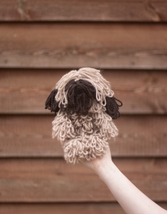 Theresa the Briard