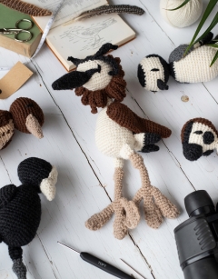 British Bird Bundle